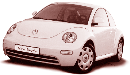 Beetle